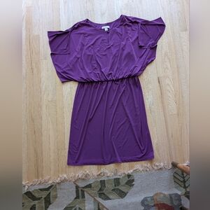 Coldwater Creek Purple Dress With Slit Sleeves (Size 16)